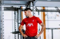 渣叔没有看走眼！7000万欧巨(jù)星成利物浦真核，麦卡彻底失(shī)去主力