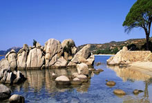 （体育）足球——意甲：AC米兰胜博洛尼亚